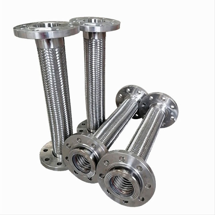 Flexible Hose with Special Flange